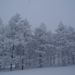 20060211_zaoskitrip_002